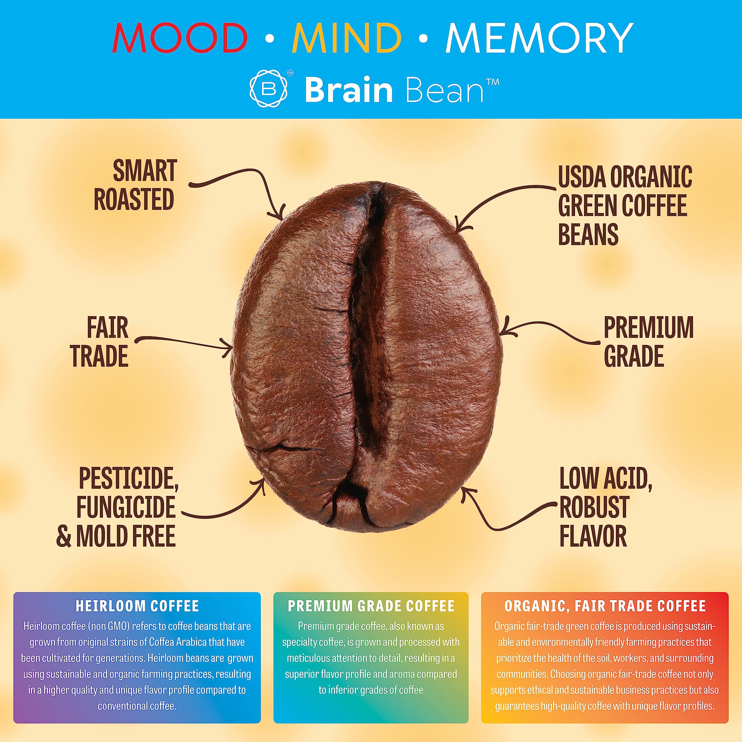 Brain Bean roasted beans—fresh grind for a vibrant morning cup.