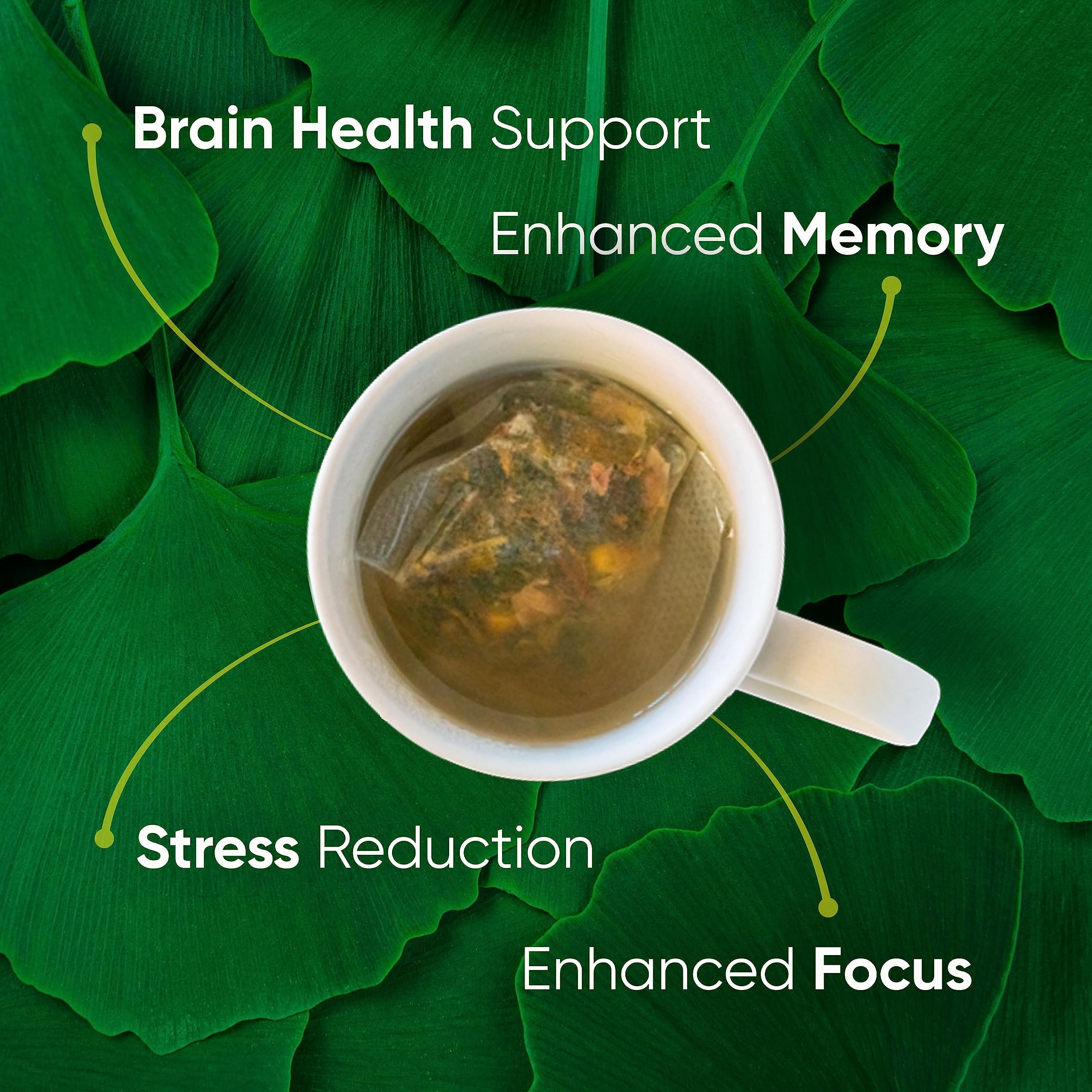 Brain Tea Organic Ginkgo Biloba leaf close-up highlighting natural cognitive support.