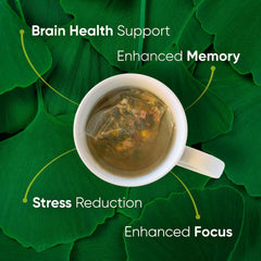 Brain Tea Organic Ginkgo Biloba leaf close-up highlighting natural cognitive support.