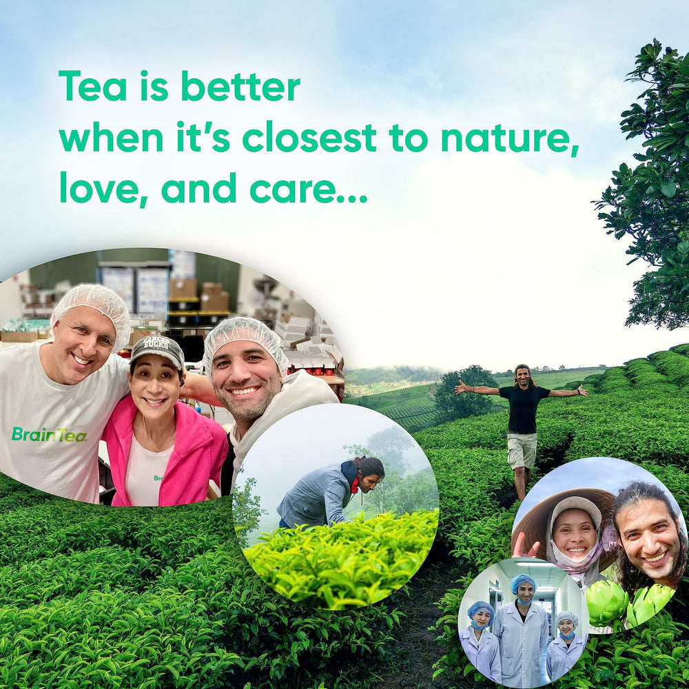 Brain Tea tea bags in natural-fiber packaging illustrate pure, allergen-free brewing.