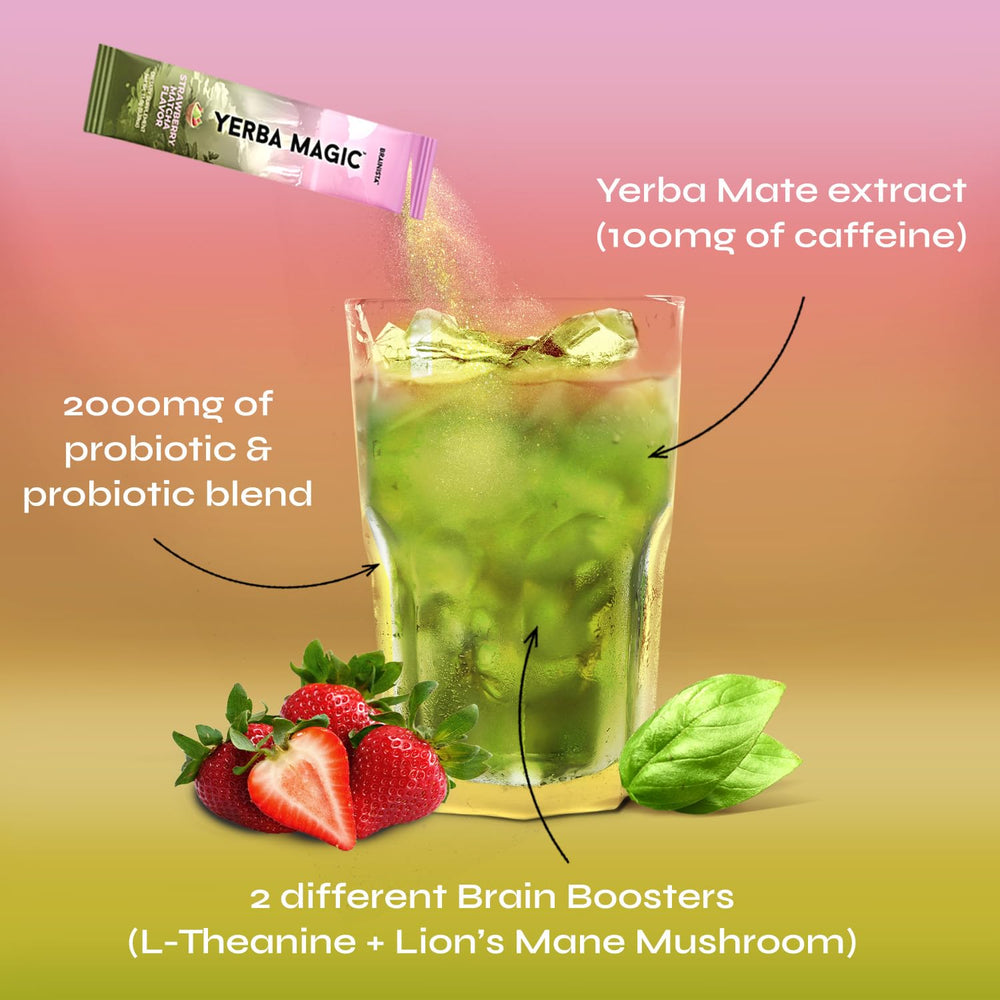 Brainista Yerba Magic Lion’s Mane visual signals focus-supporting ingredients