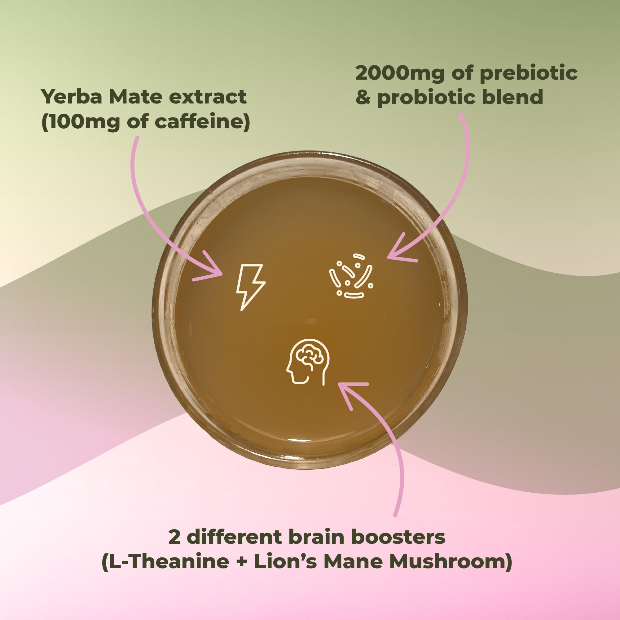 Brainista Yerba Magic natural caffeine content from plant sources