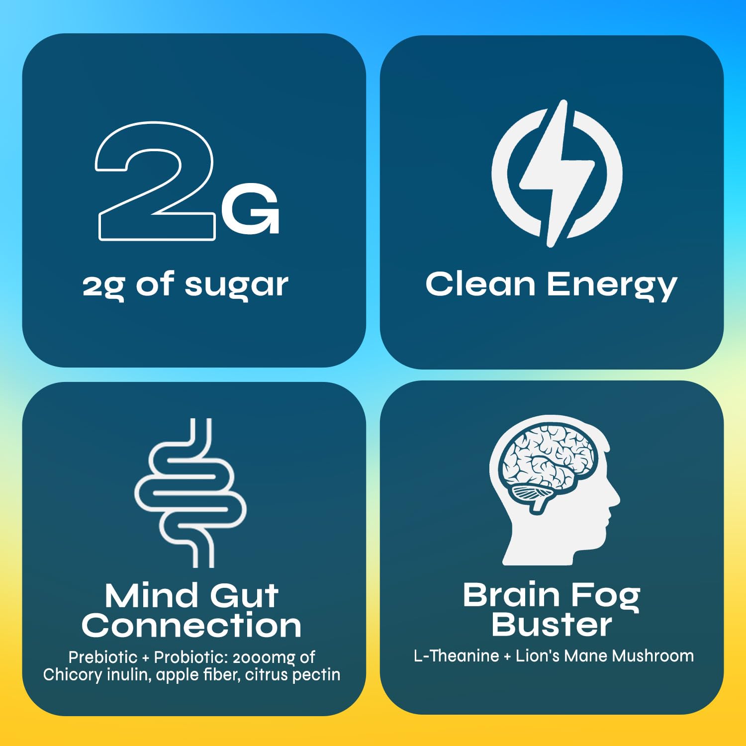 Brainista Yerba Magic prebiotics and probiotics promote gut wellness and daily comfort.
