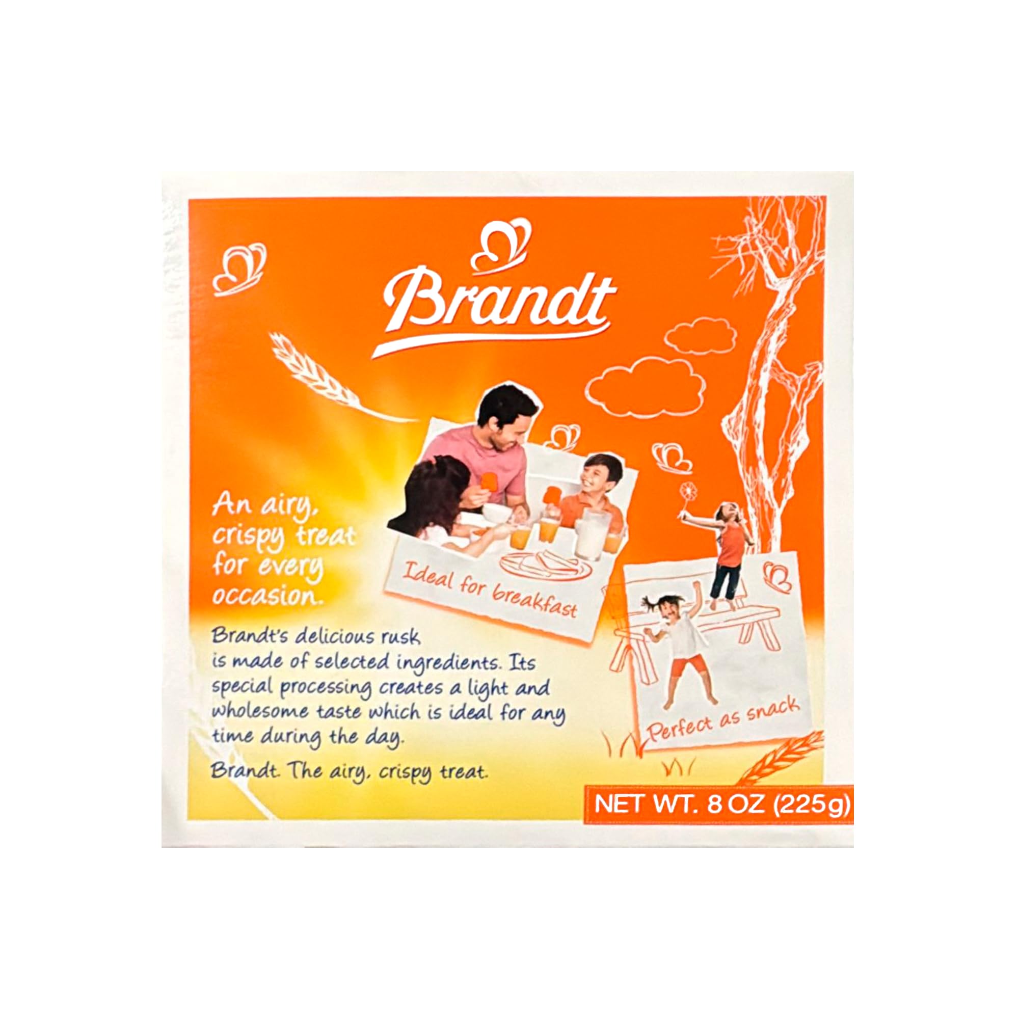 Brandt Zwieback Rusk crunchy melba-toast-like texture.