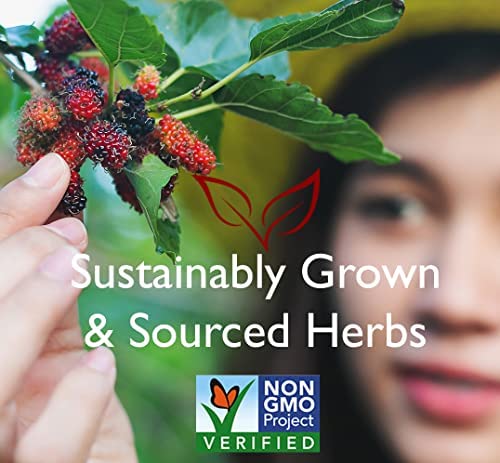 Bravo Tea Lions Mane 20Pc label highlights premium ingredients.