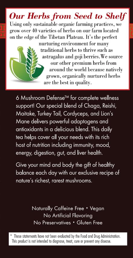 Steaming cup of Bravo Teas 6Mushroom Dfns with inviting aroma