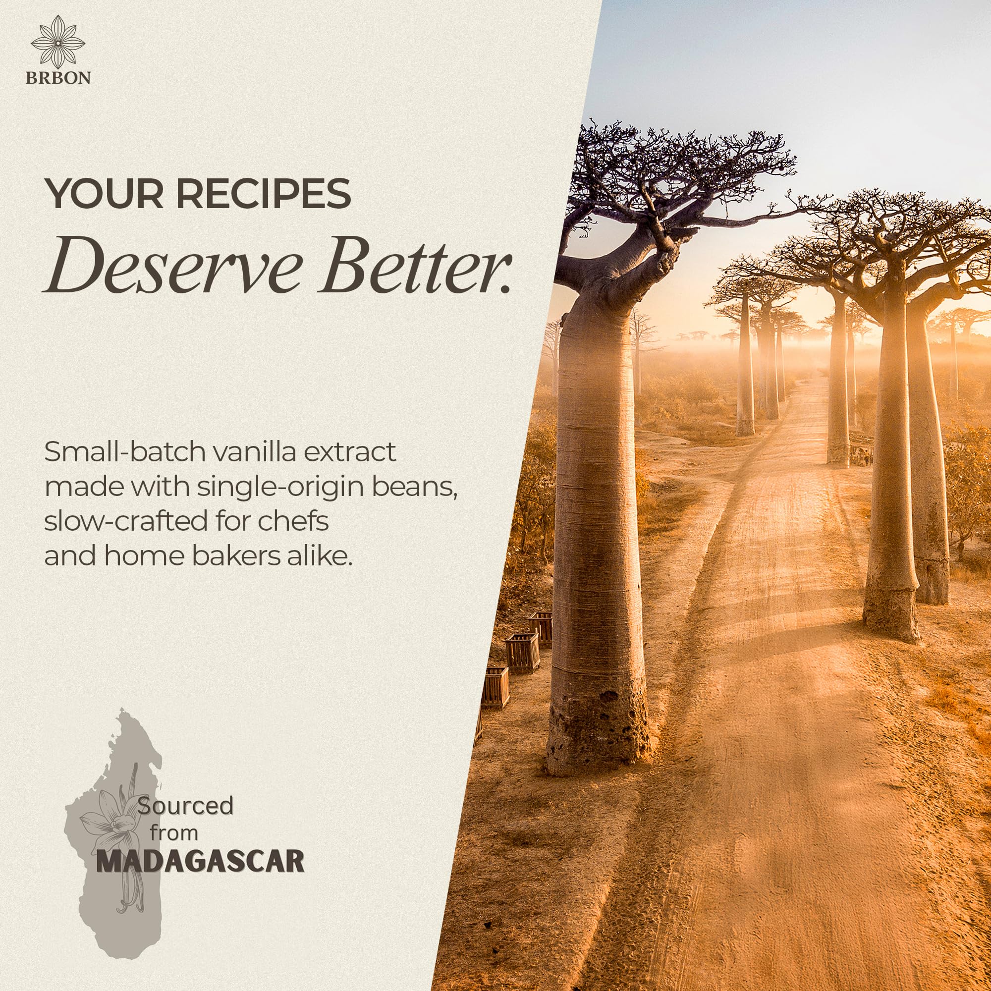 BRBON Madagascar vanilla beans highlight single-origin purity for authentic recipes