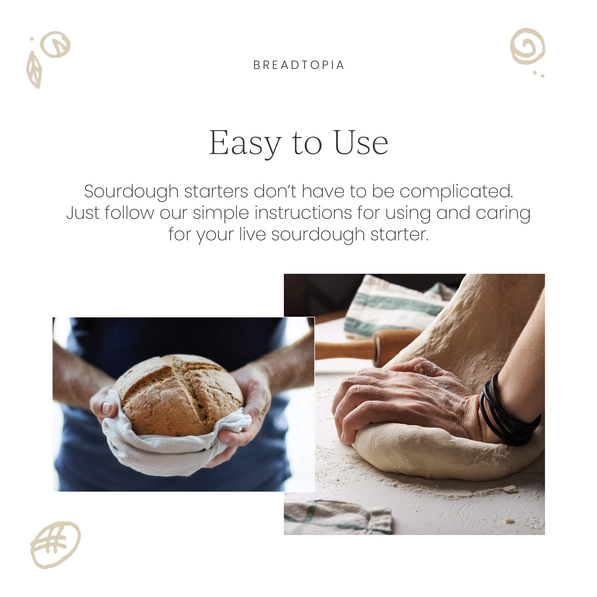 Breadtopia starter used to bake fresh sourdough loaf at home