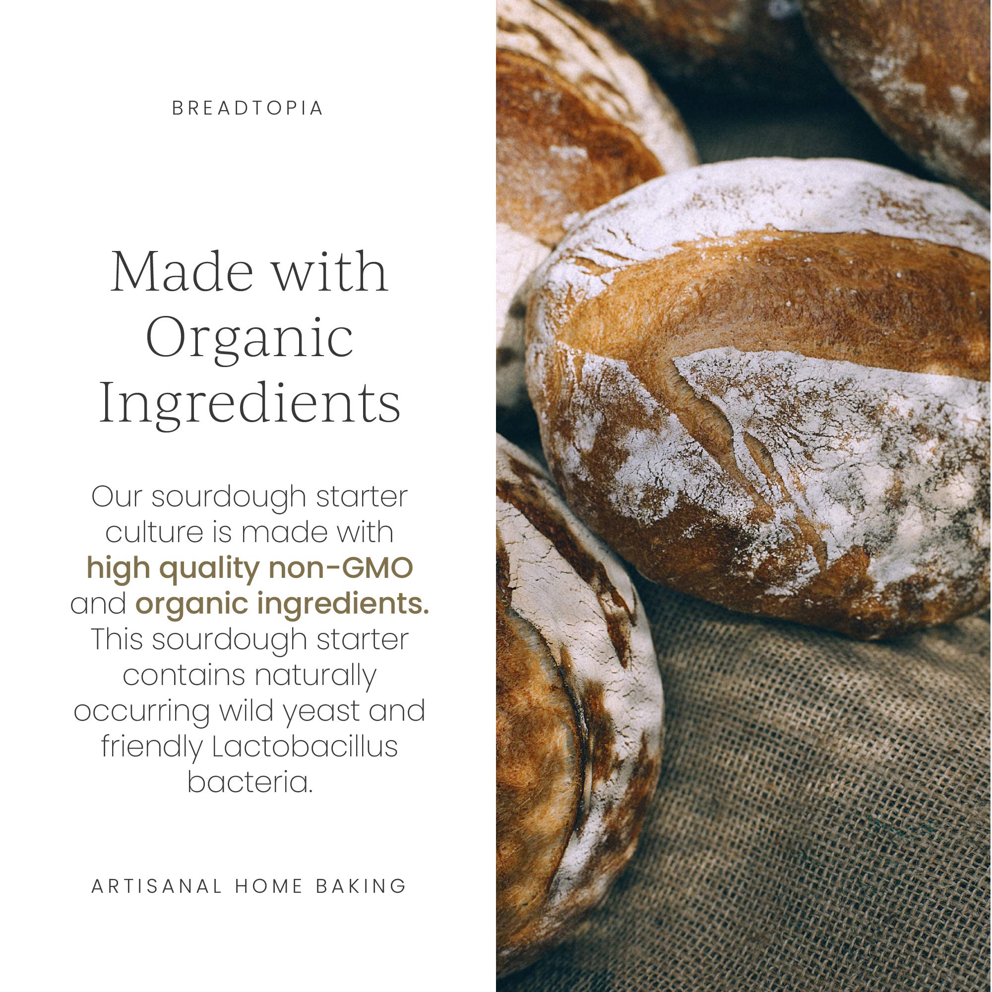 Breadtopia starter maintenance kit and measuring tools facilitating easy care