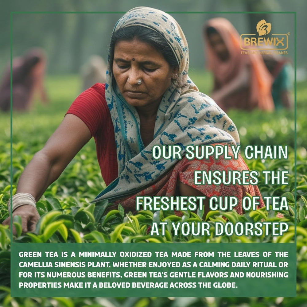 BREWIX 100g pack offers long-lasting supply for tea moments.
