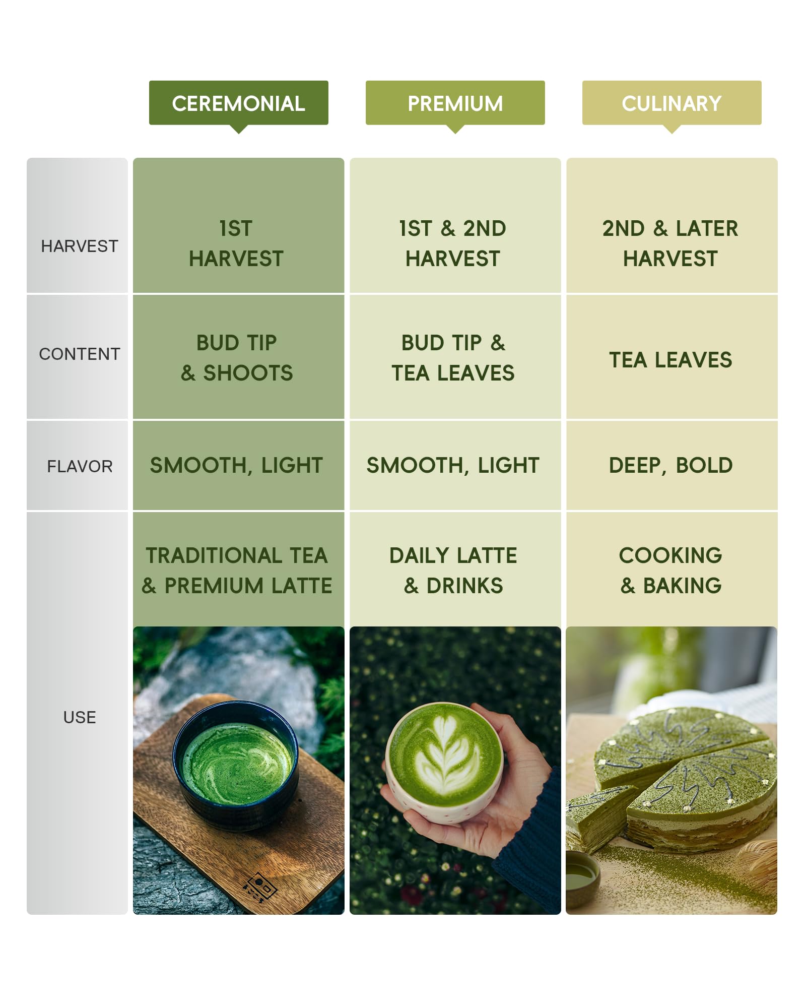 Brewnova matcha farm field shows shade-grown origins for premium flavor
