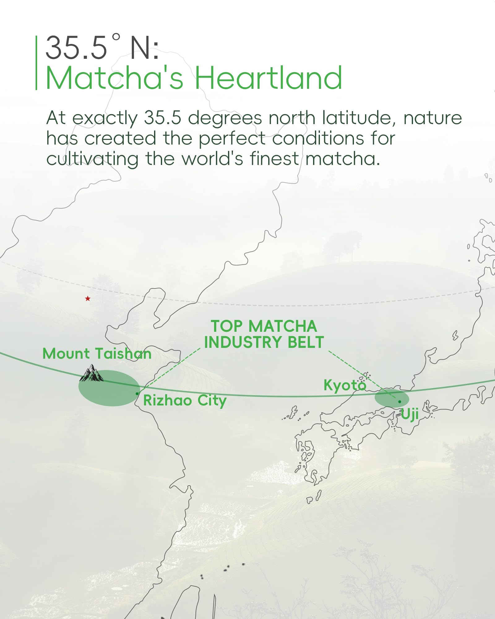 Brewnova matcha powder texture closeup highlights smooth, creamy consistency