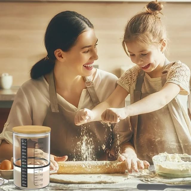 BRIRILINE Pro Sourdough guide with recipes supports beginners.