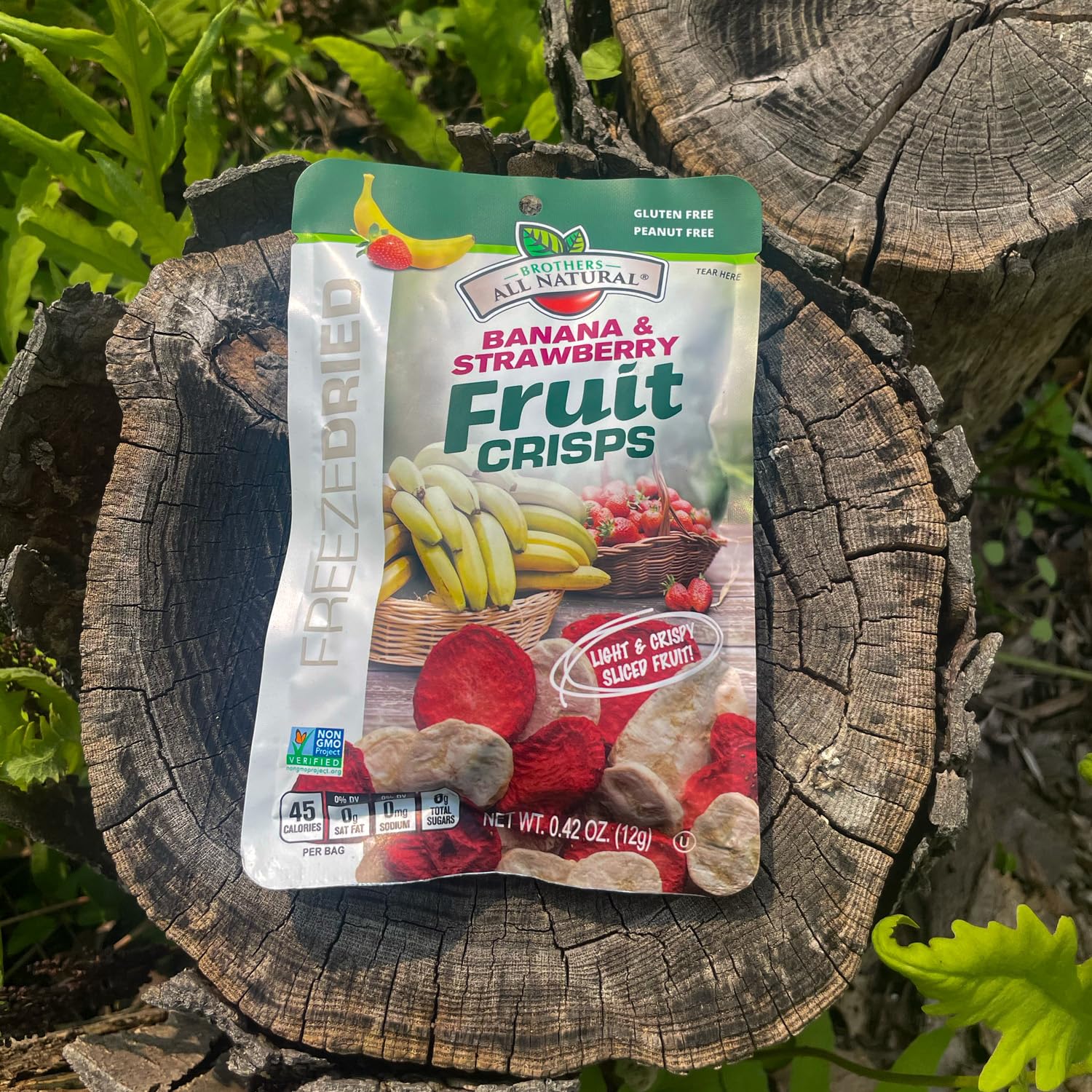 Brothers All Natural freeze-dried crisps texture shows airy crunch