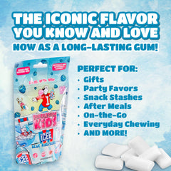 Bubblegum Kids resealable bag showing a 55-piece gum pack
