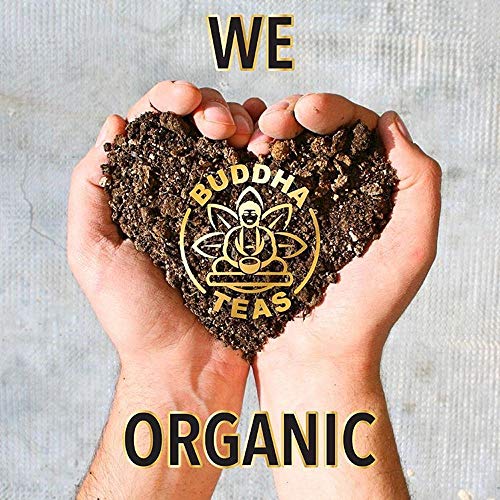 Buddha Teas Bleach-free Abaca Tea Bags showcase eco-friendly packaging material.
