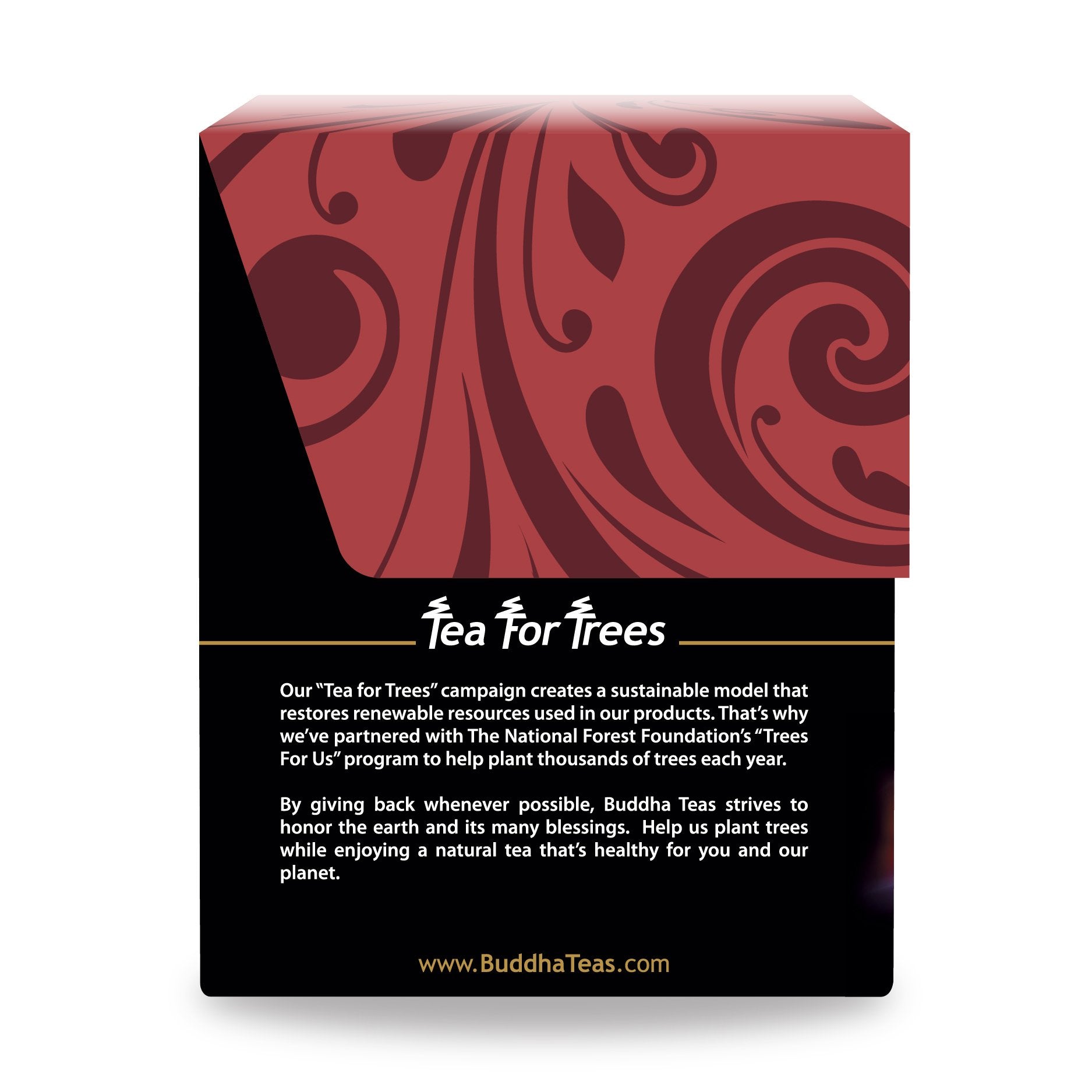 Close-up of Pure Mind Blend ingredients like Holy Basil and Rosemary