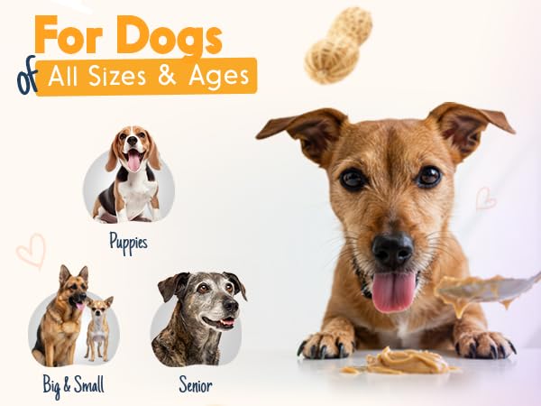 Protein-forward treat message from Buddy Budder Bangin Bacon for dogs.