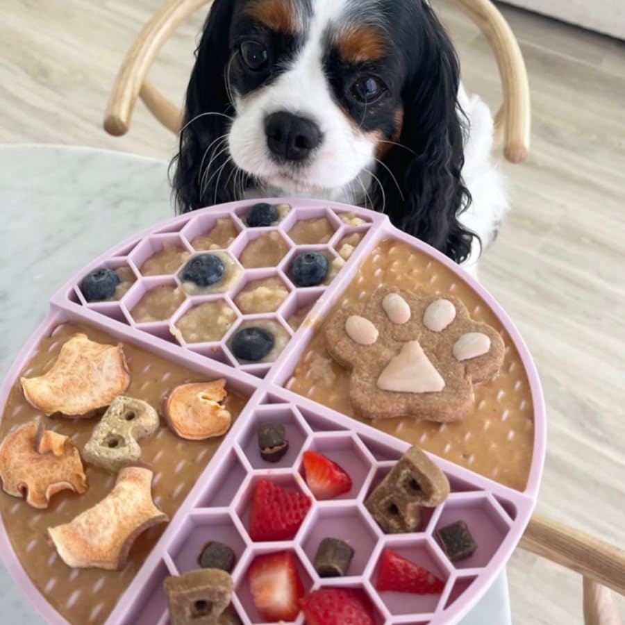 Aromas of real bacon flavor enticing dogs during snack time with Buddy Budder Bangin Bacon.