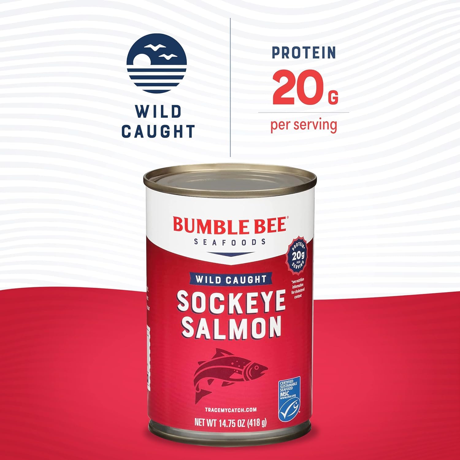 Bumble Bee salmon served on a plate; vibrant color for salads and bowls.