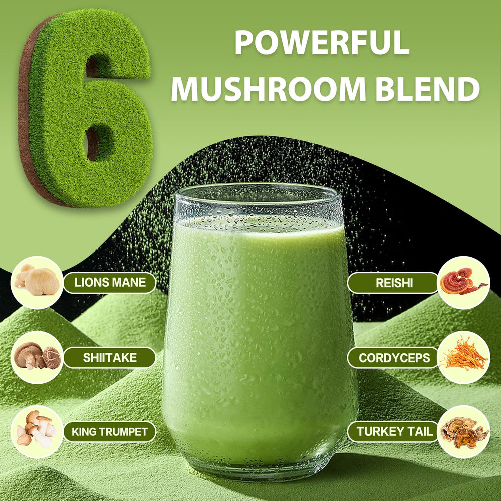 Bunkell Reishi powder with scoop suggesting balanced daily energy