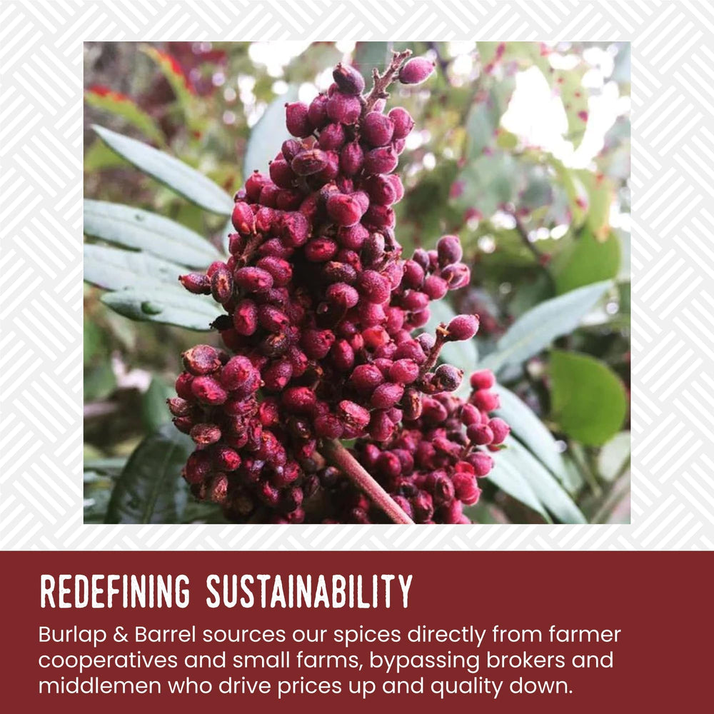 Burlap & Barrel sumac on chicken dish adding bright cherry-like notes.