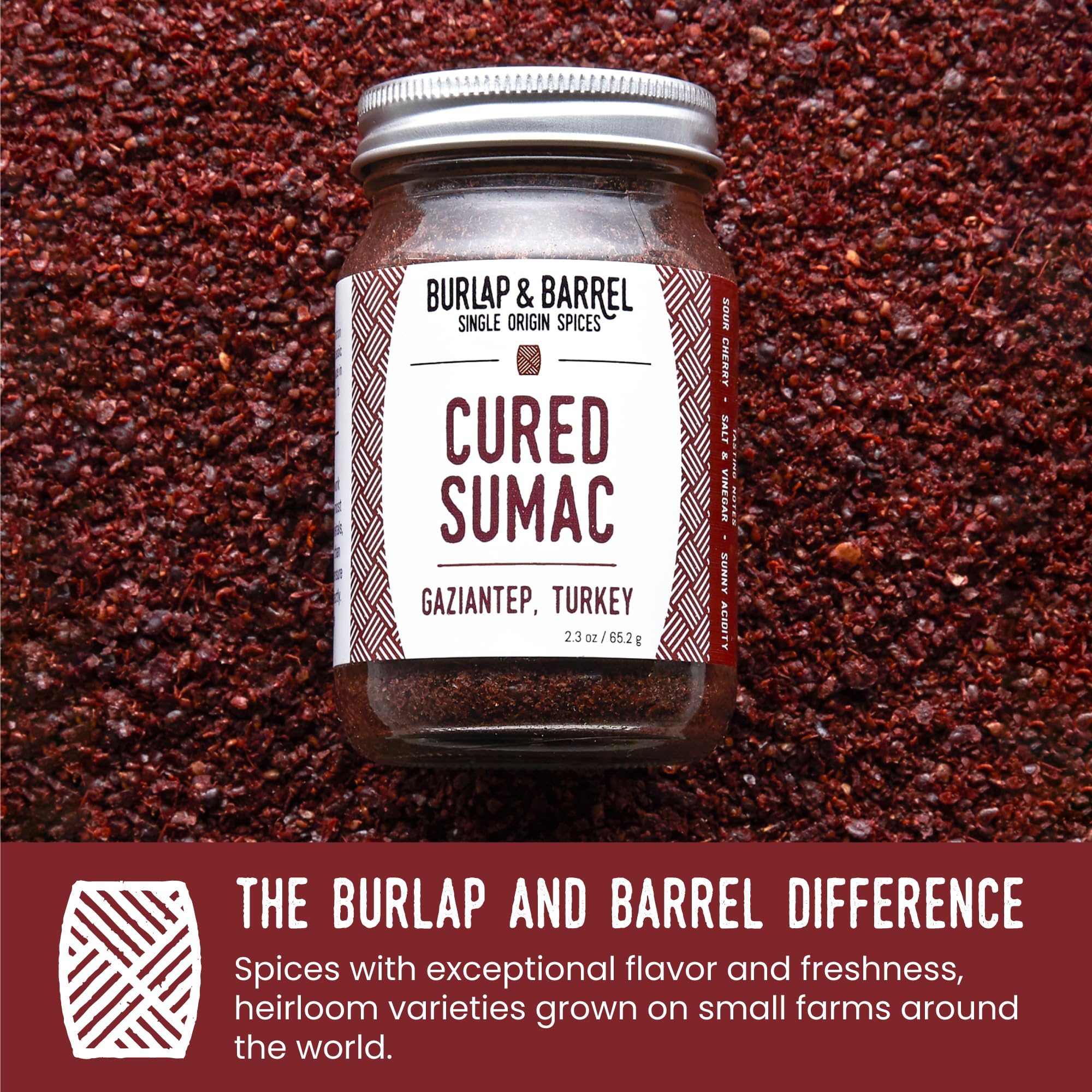 Burlap & Barrel sumac hummus dish showcasing vibrant finishing touch.