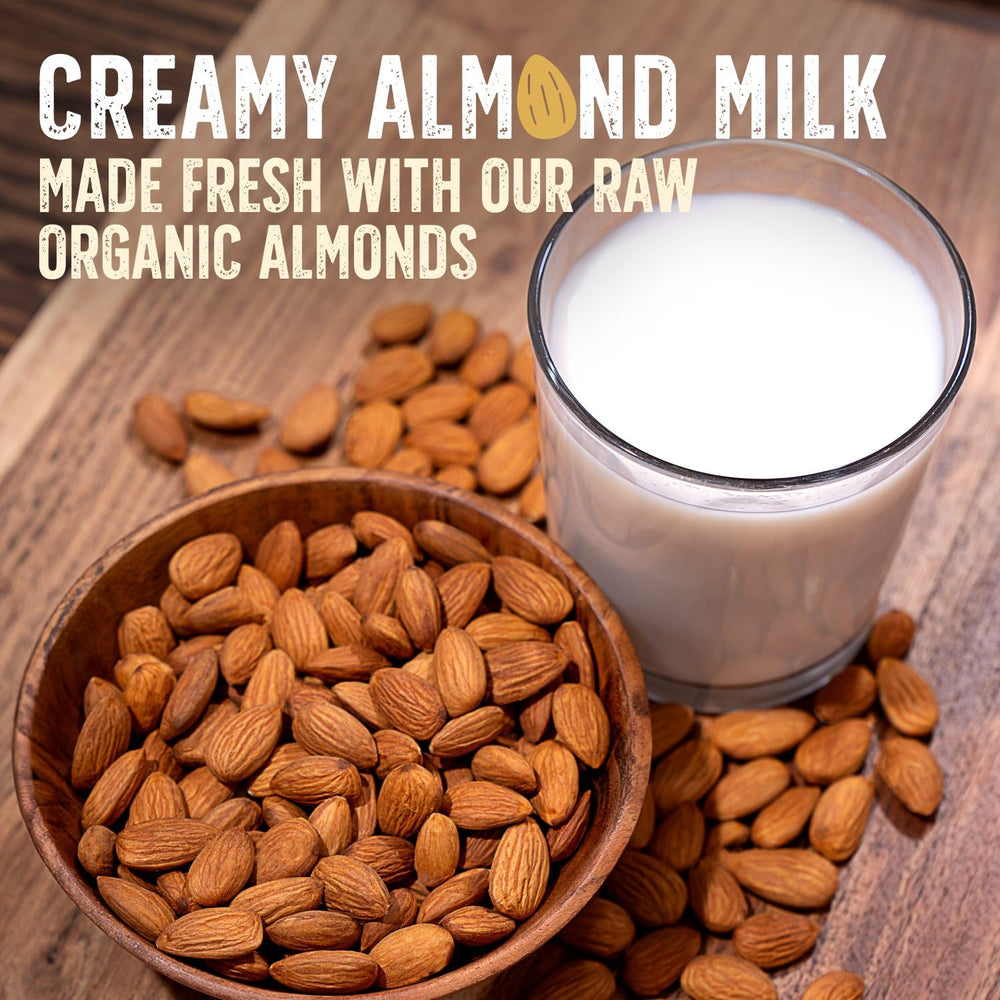 Burroughs Family Farms high-protein almonds support energy and focus.