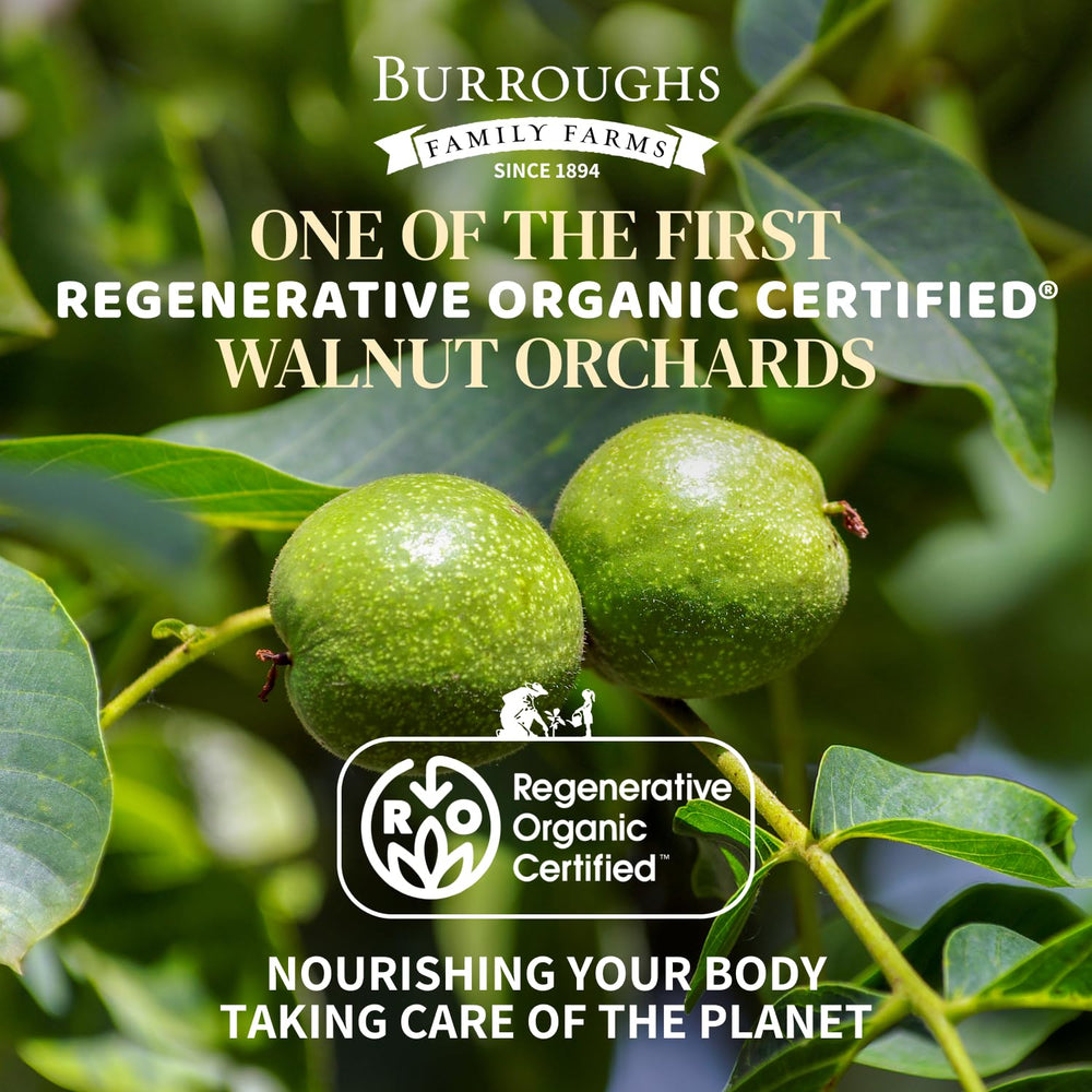 Burroughs Family Farms California walnut orchard under regenerative farming practices.