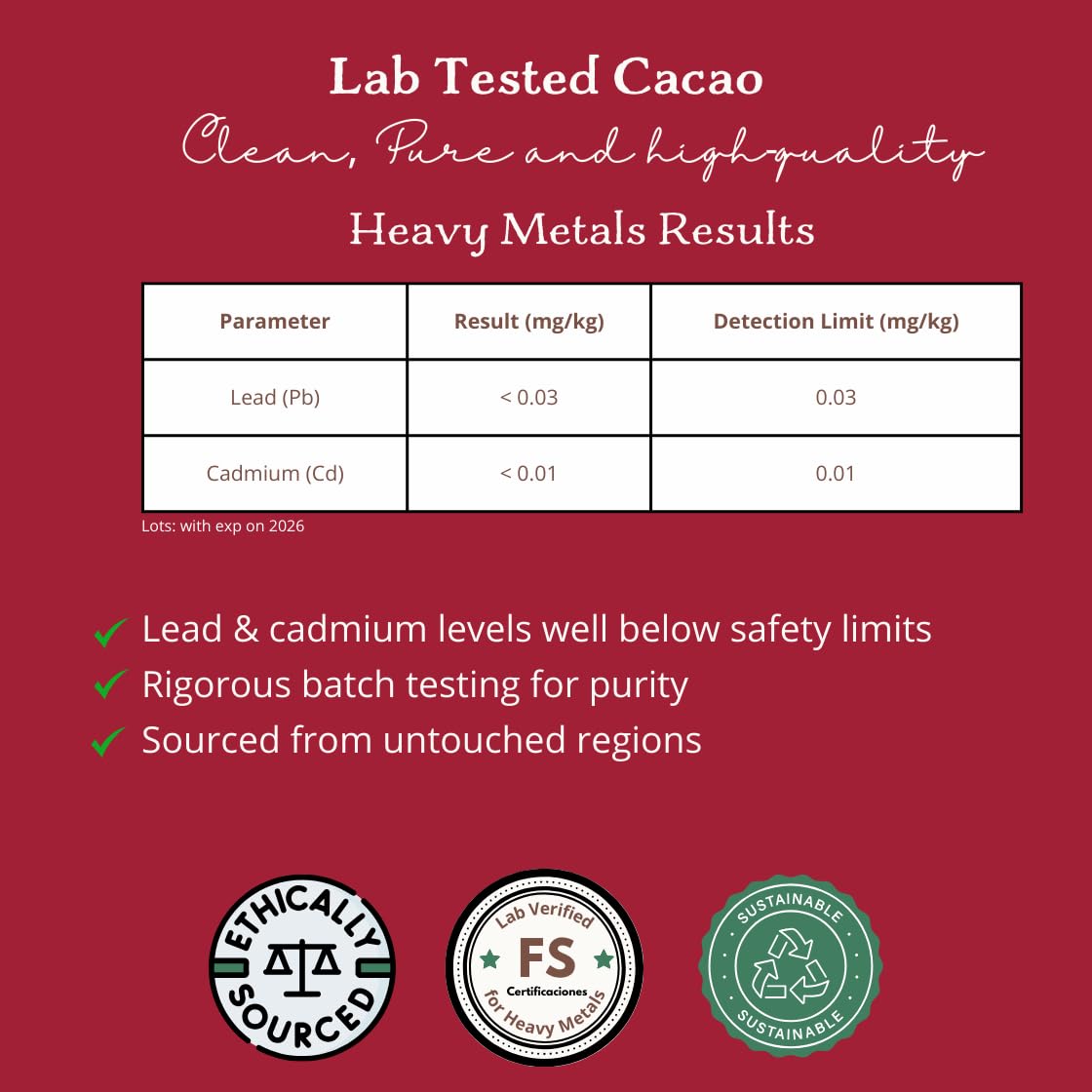 Cacao Adventures Peru bean close-up reveals wild origins and natural aroma