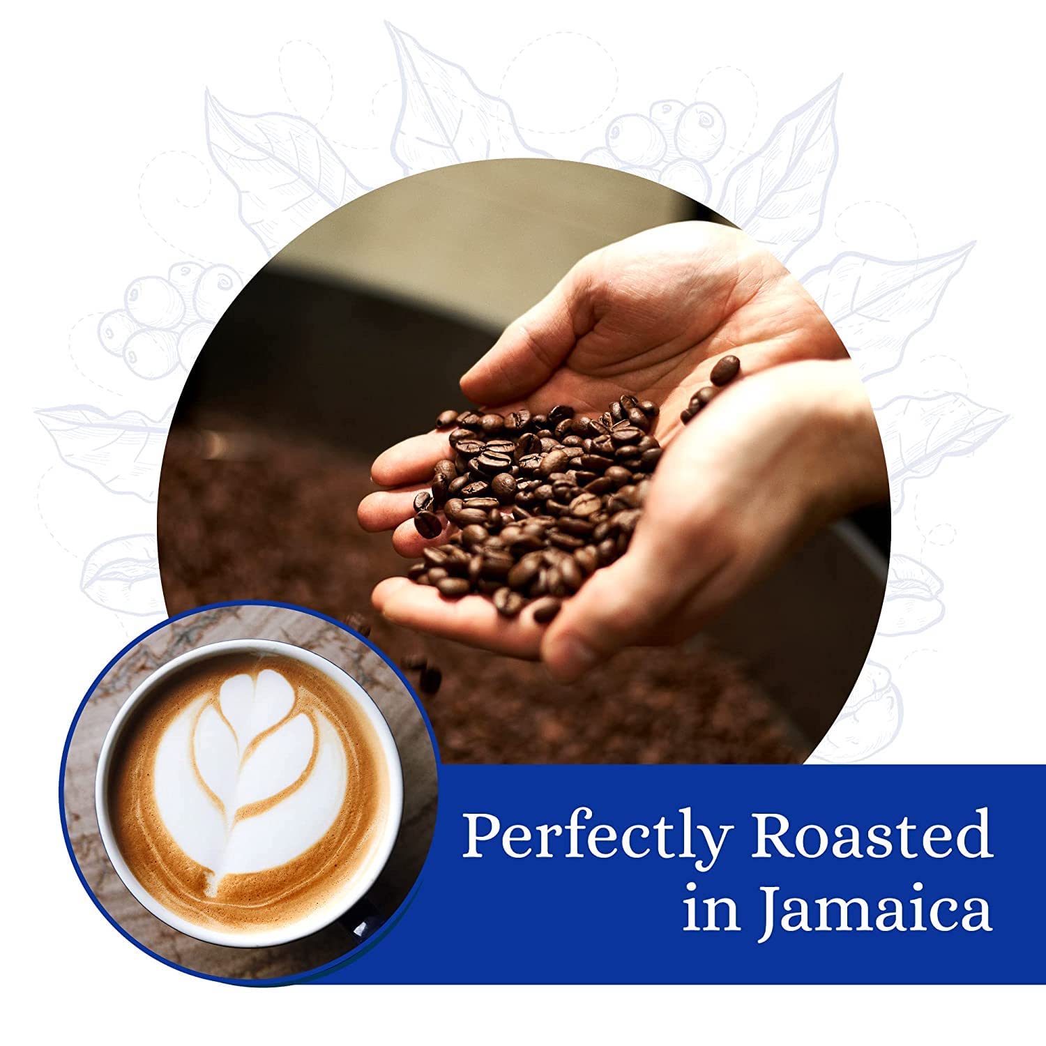 Cafe Blue freshly roasted aroma enhances your morning ritual.
