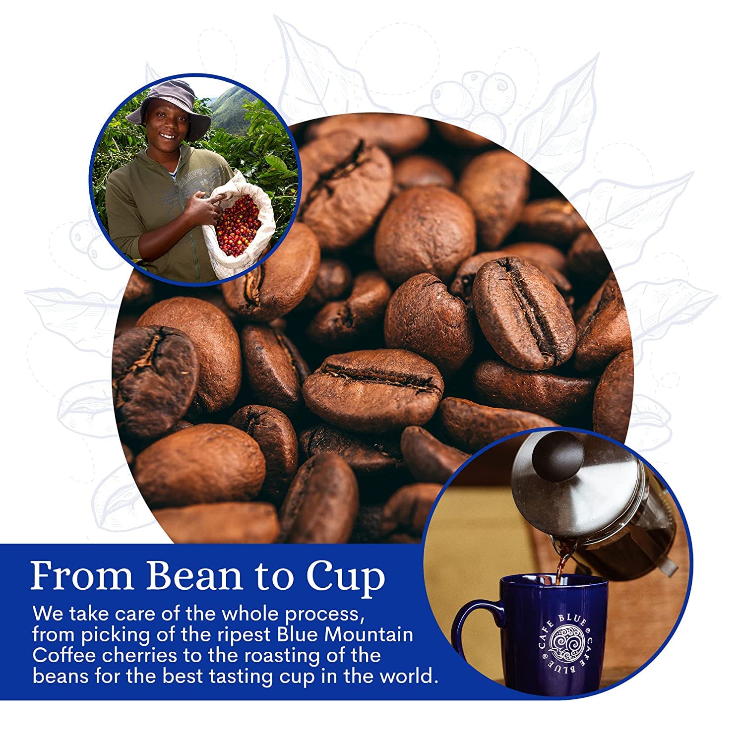 Cafe Blue responsibly sourced from Blue Mountain for sustainable farming.