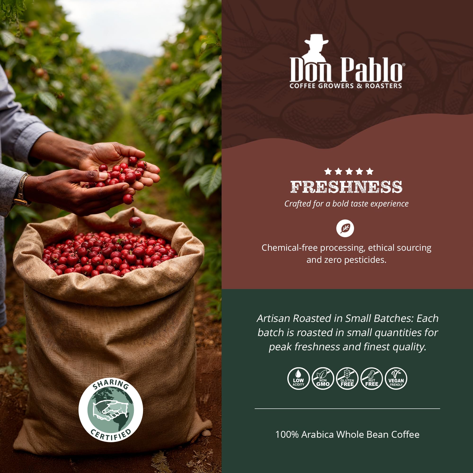Cafe Don Pablo Arabica beans close-up highlight premium non-GMO quality.