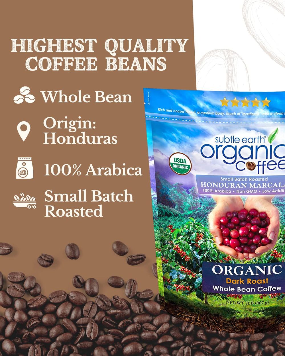 Cafe Don Pablo Subtle Earth Whole Bean closeup – premium Honduras beans for full-bodied chocolatey notes.