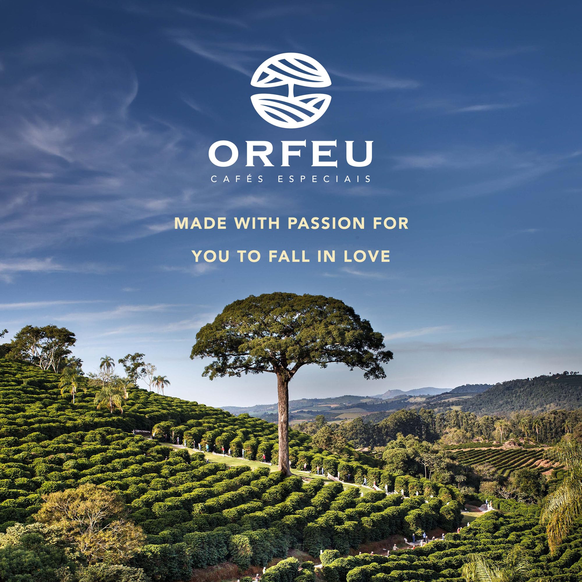 Cafe Orfeu southern Minas origin notes emphasize farm-to-cup story.