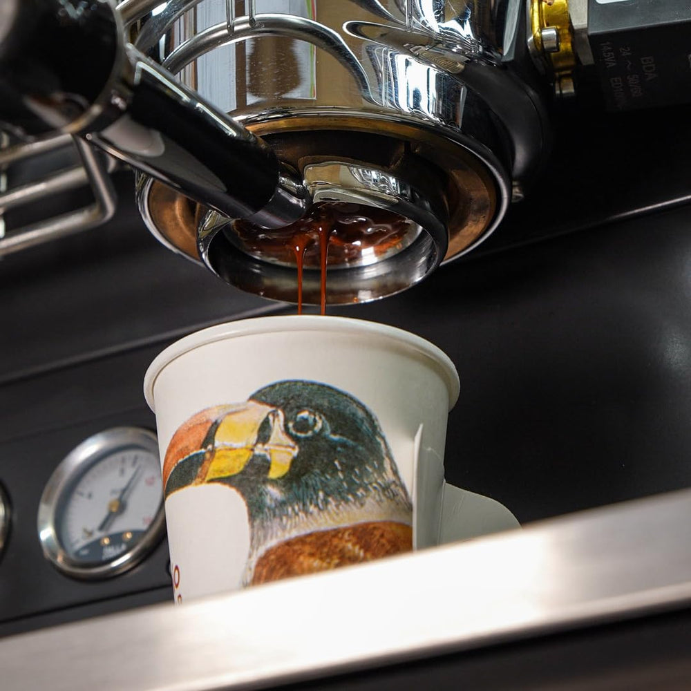 Cafe Quindio brewed aroma steaming from the cup.