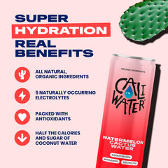 CALIWATER Ginger Lime can delivering zesty flavor and plant-based hydration