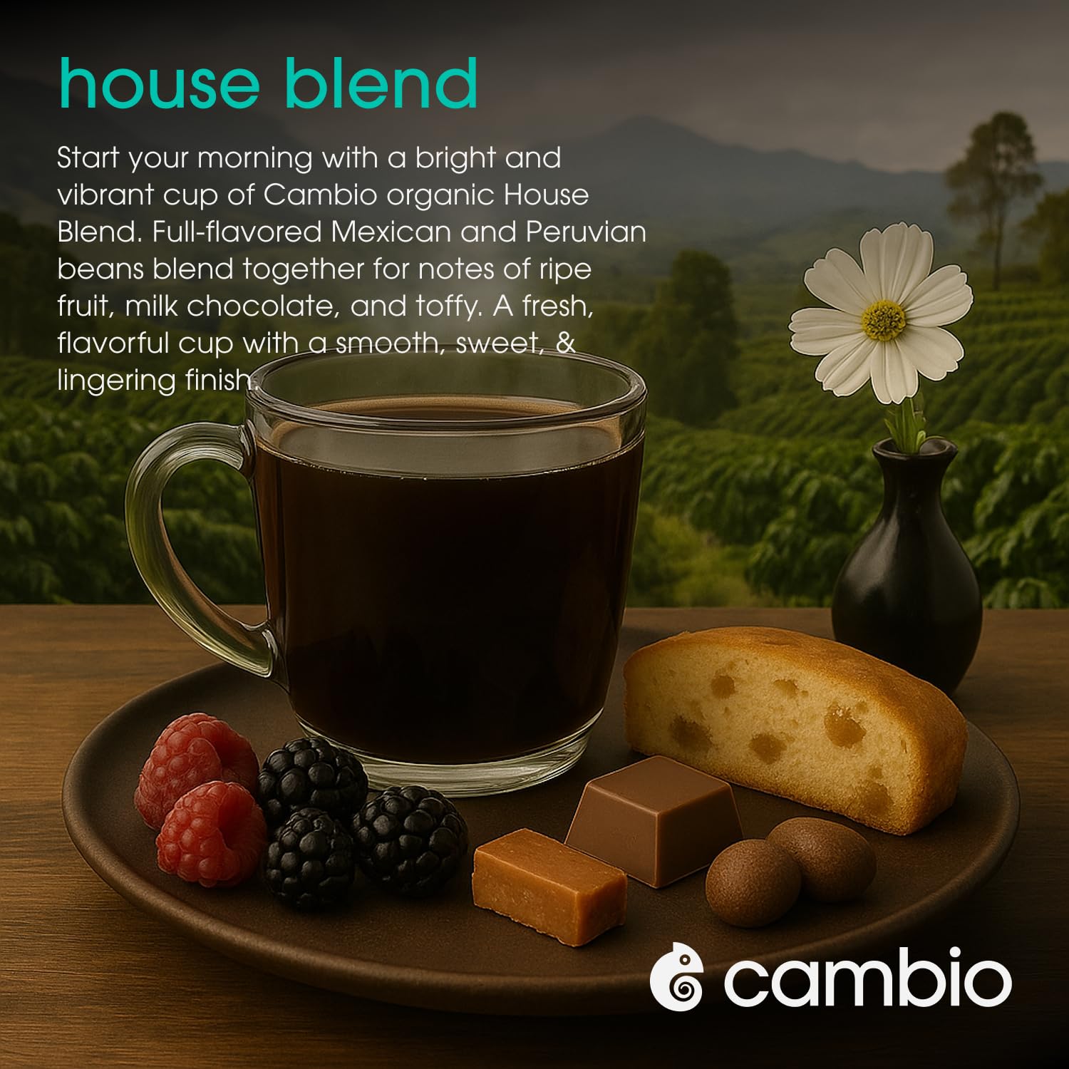 Cambio Roasters beans beside the pod highlight premium organic coffee at home.