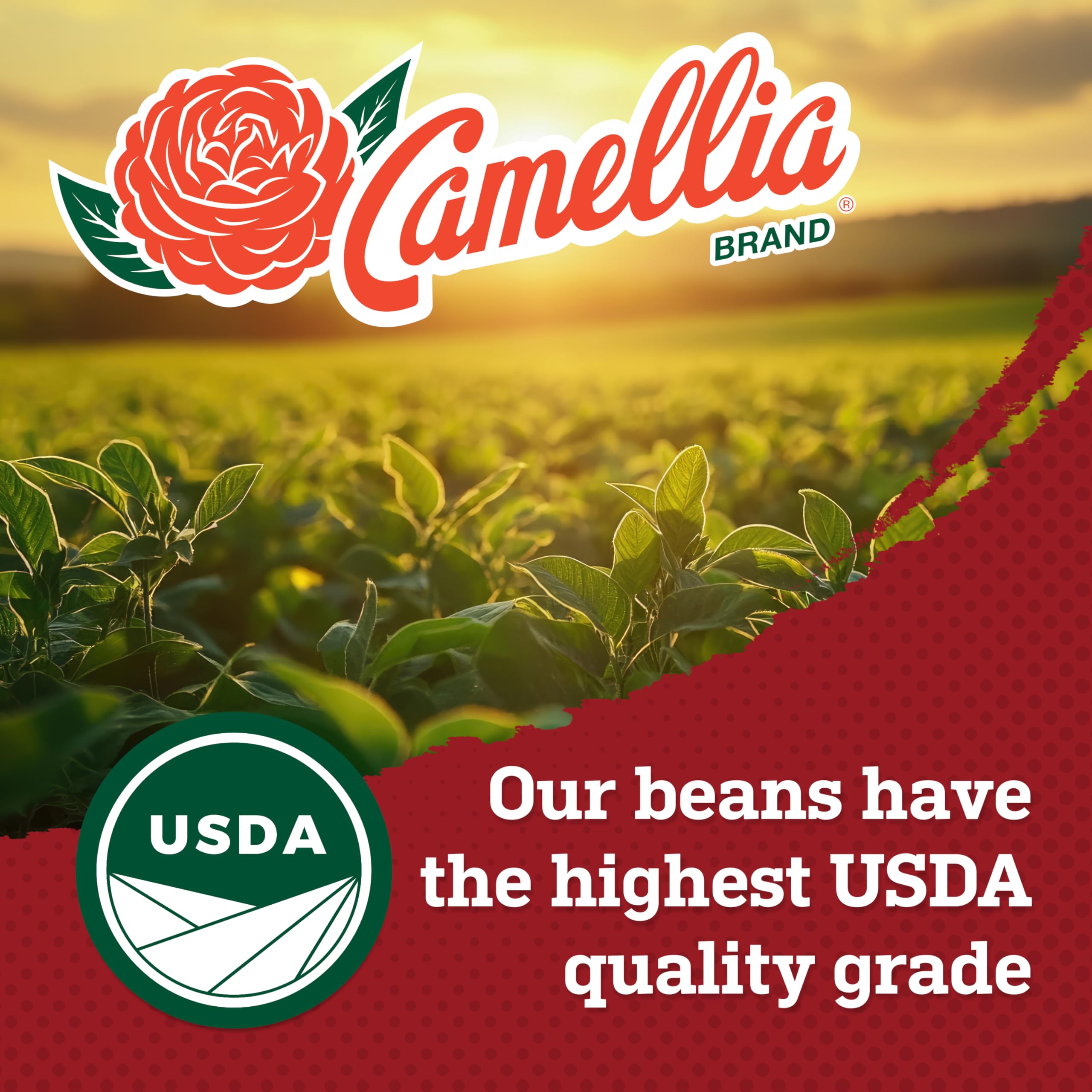 Heritage, family-owned Camellia Brand beans since 1923.