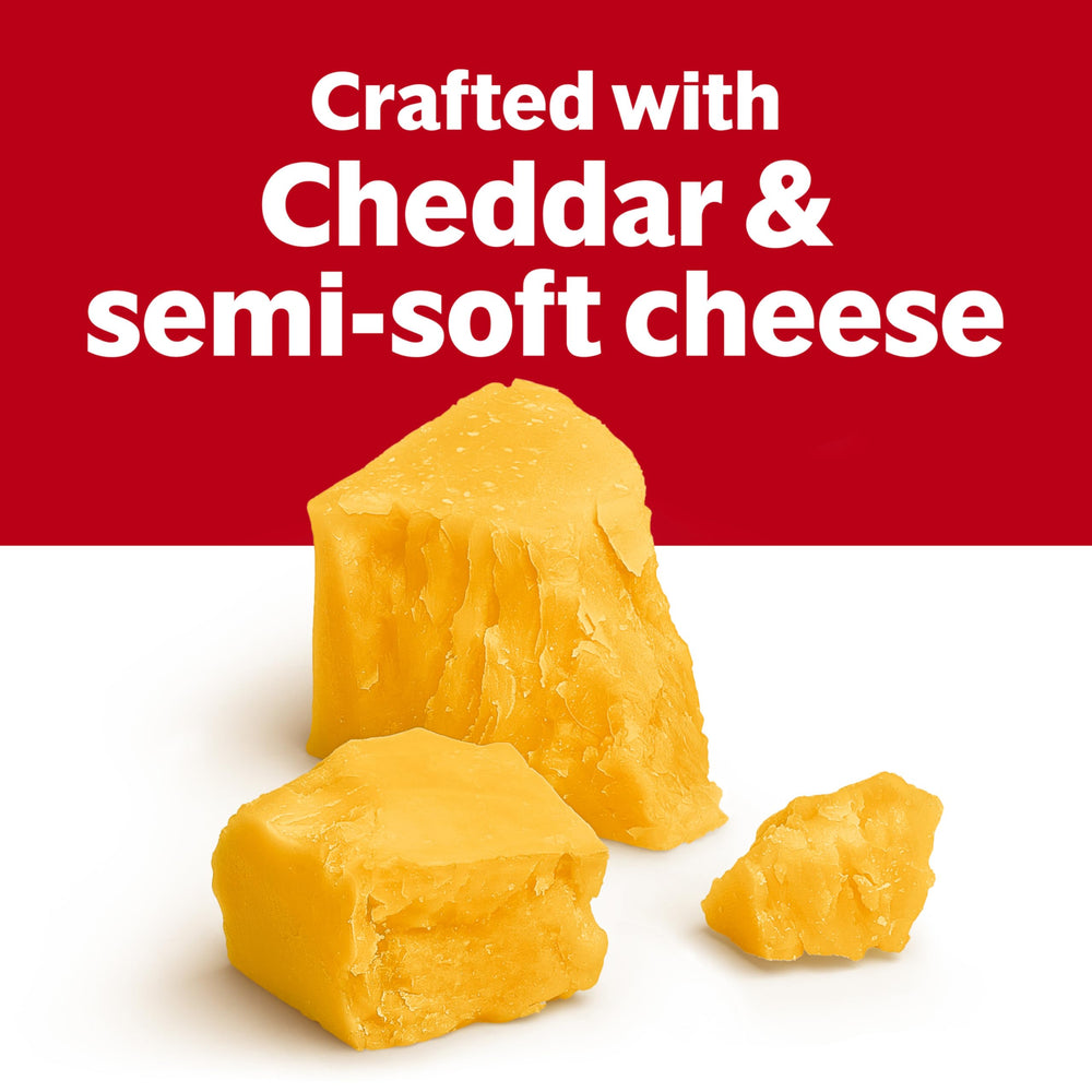 Bowl of Campbell's Cheddar Cheese Soup showcases creamy, comforting texture.