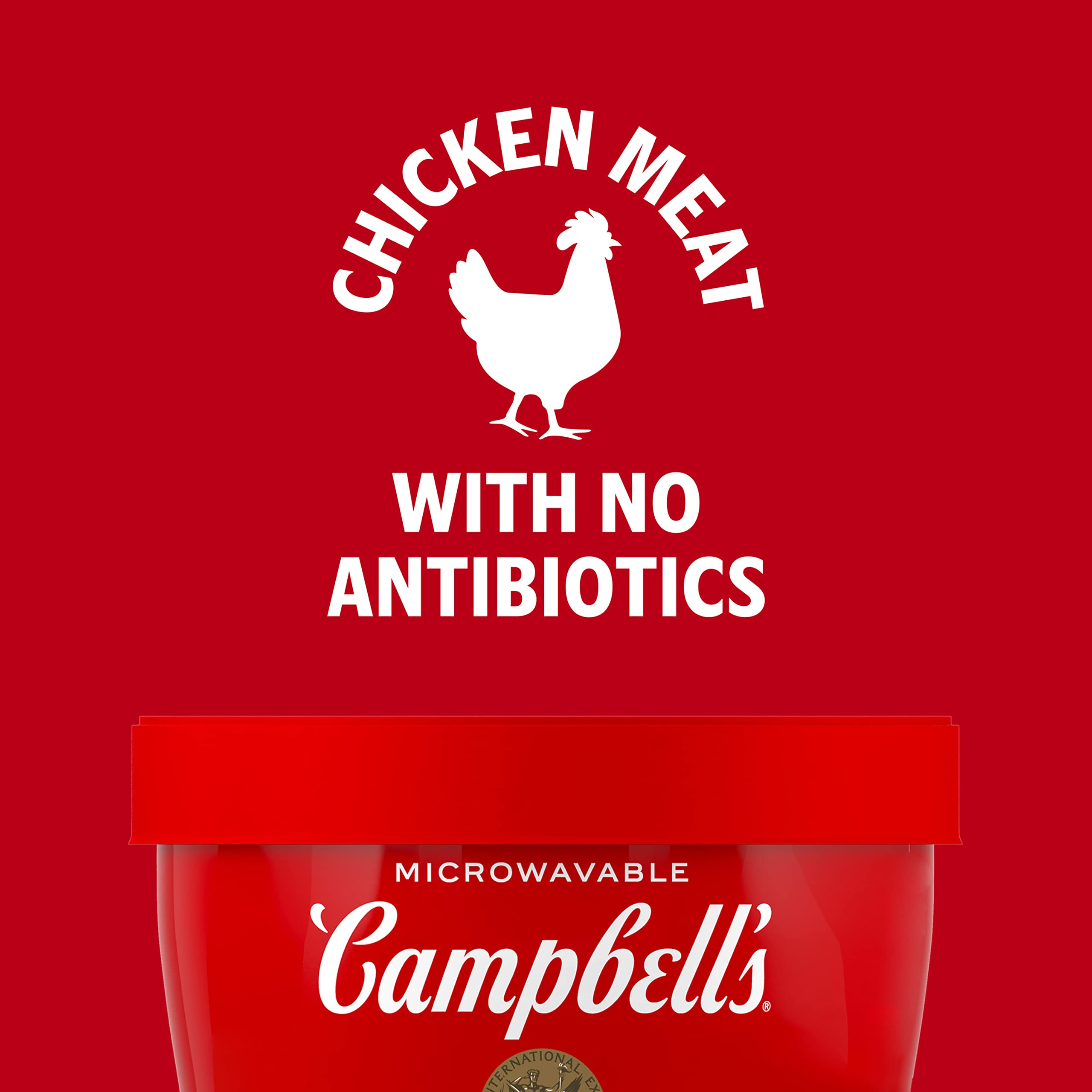 Campbell's Homestyle Chicken Noodle Soup ingredients: broth, noodles, vegetables, and chicken