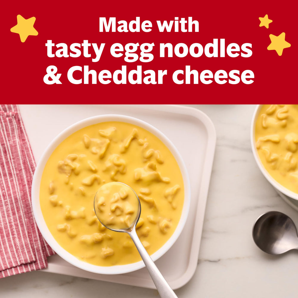 Campbell's Kids Cheddar Cheesy Noodle Soup ingredients label highlighting enriched noodles.