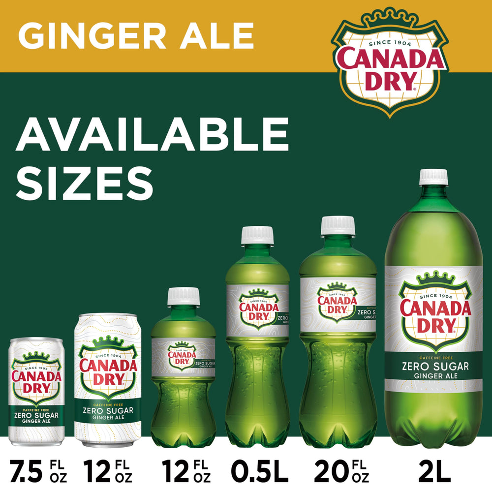 Canada Dry Zero Sugar Ginger Ale refreshing sip—crisp flavor in every sip.