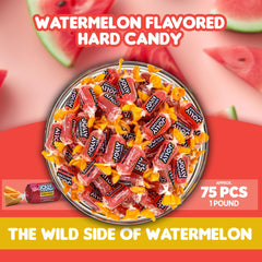 Candylish Watermelon Jolly Ranchers individually wrapped candies for sharing