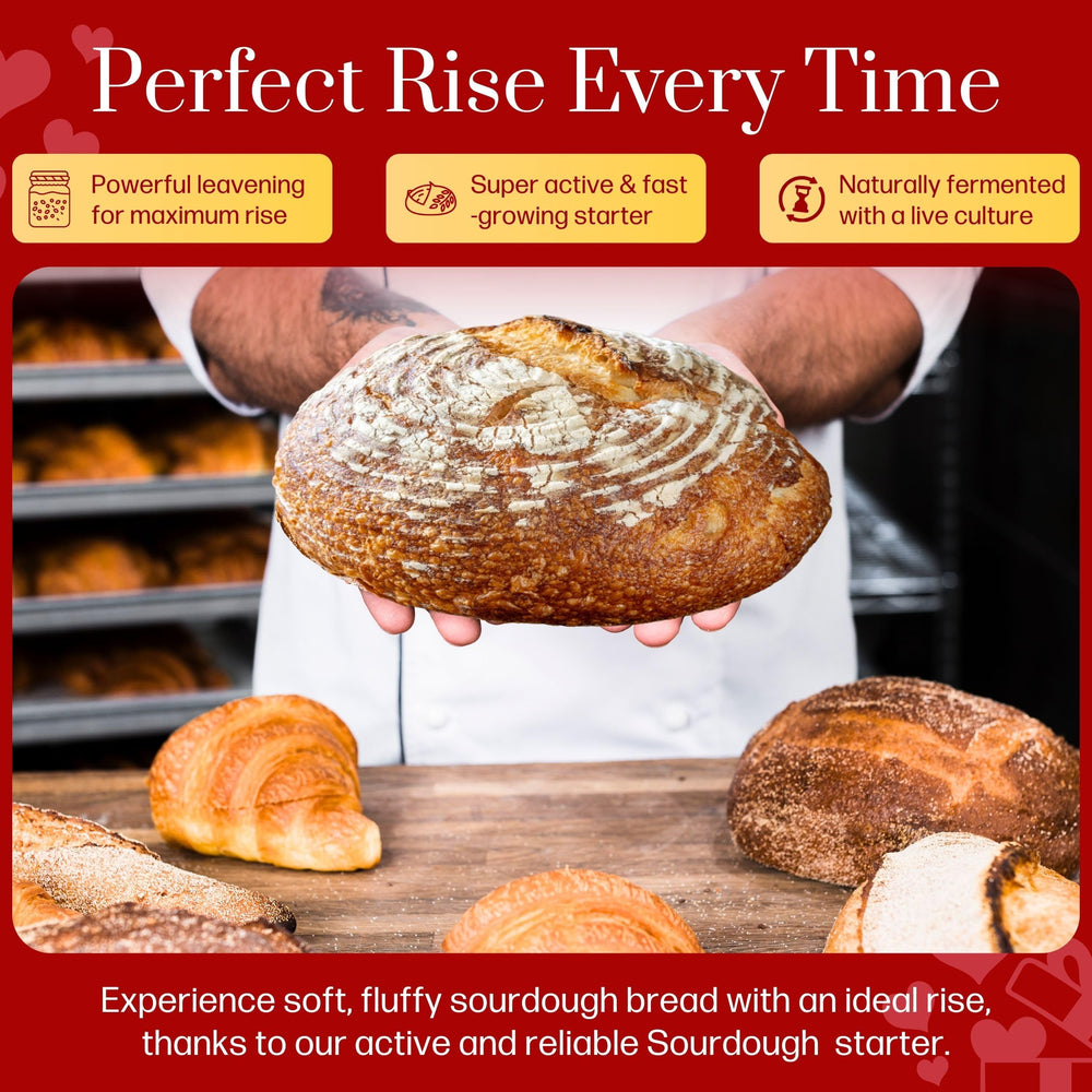 Captain Sourpants revival guide shows easy revival steps for home bakers.