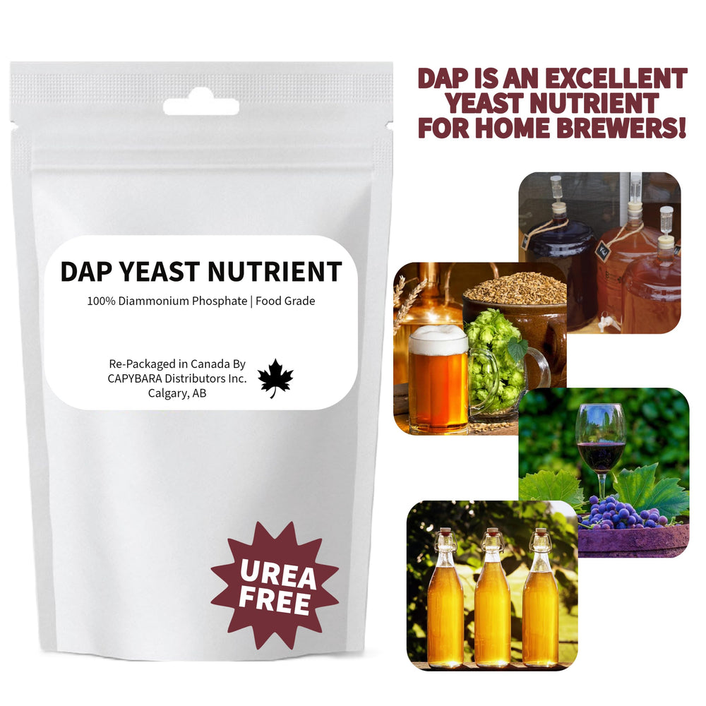 CAPYBARA DAP yeast nutrient powder closeup showing white granules ideal for fermentation