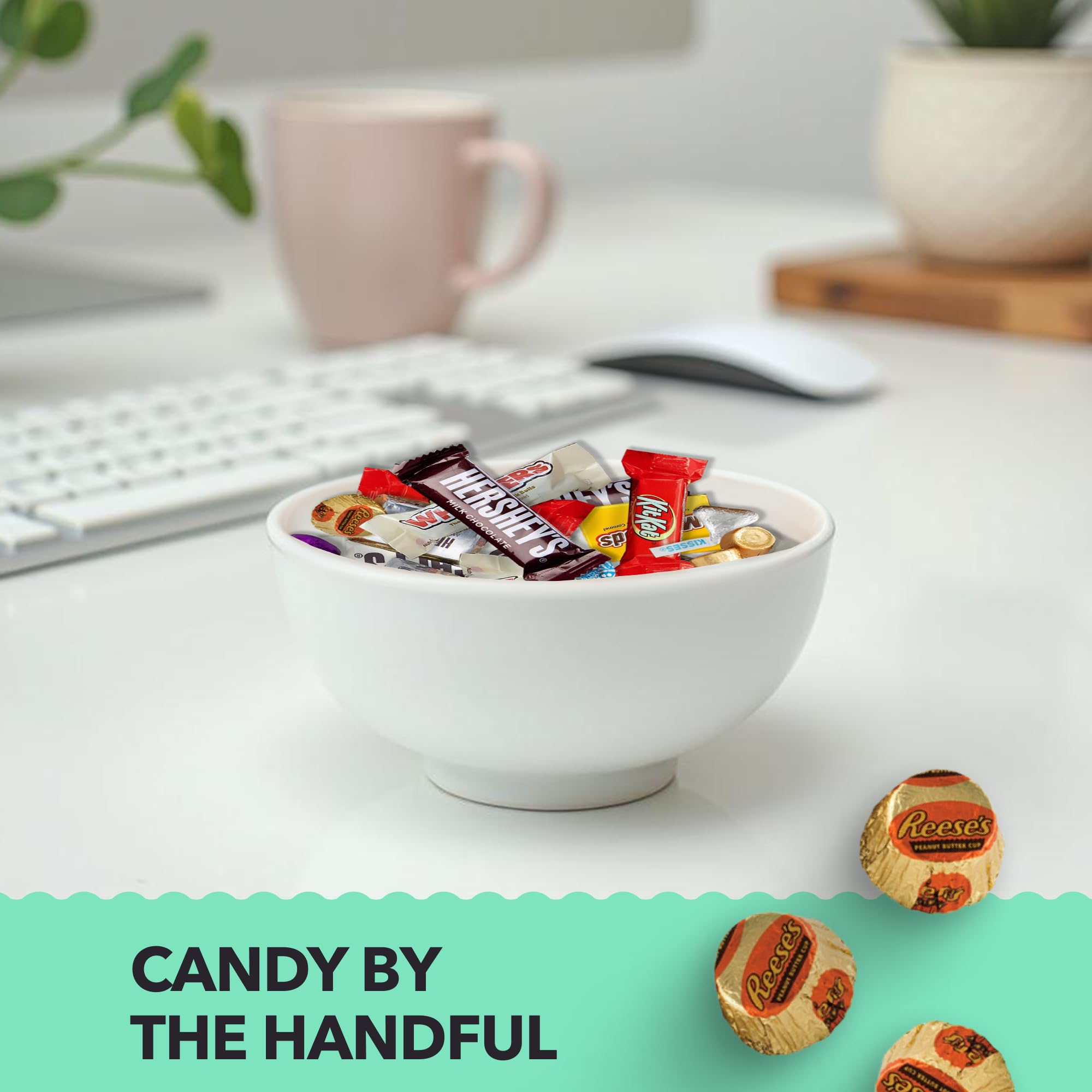 CARBON CANDY CO gift ready bulk chocolate pack for celebrations