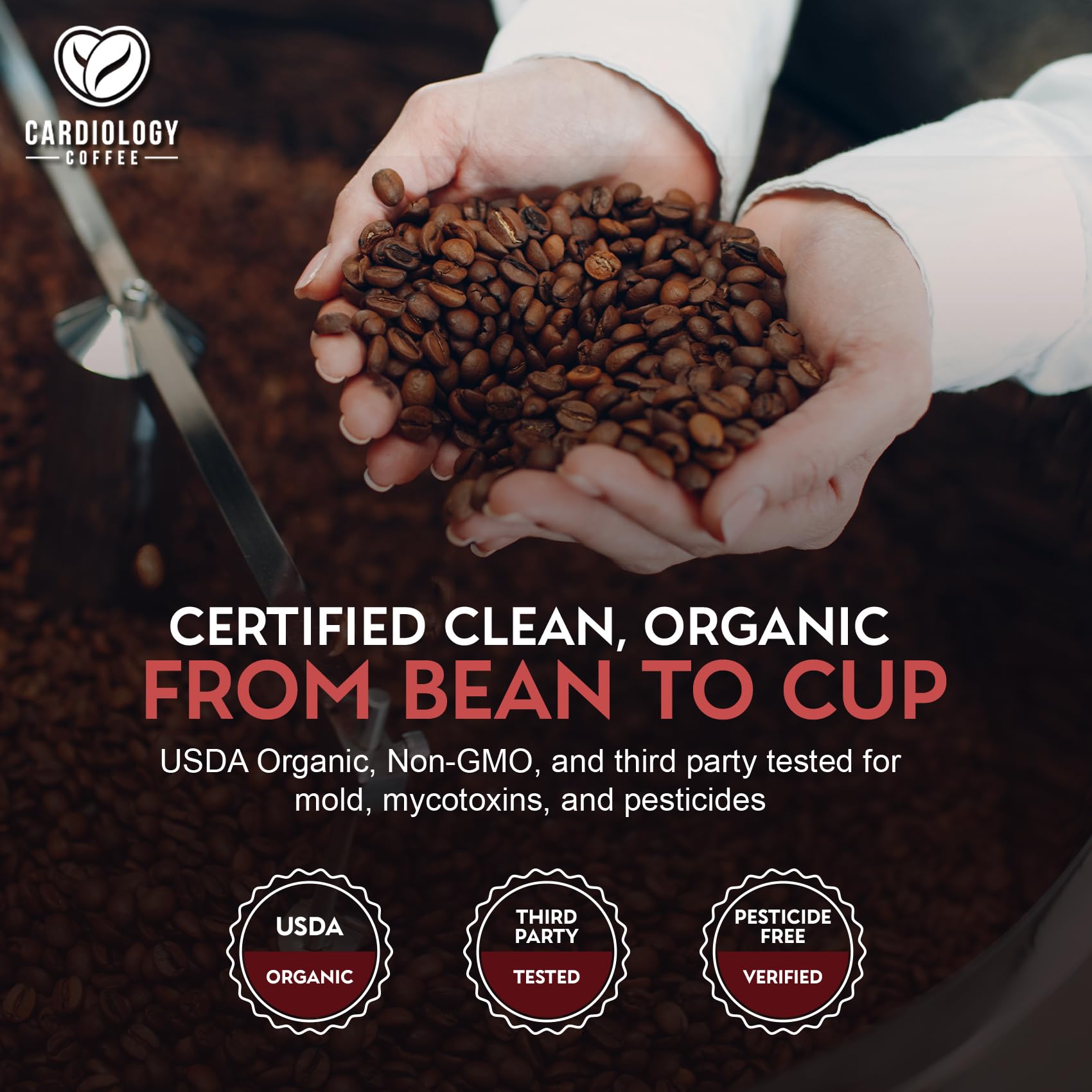 Cardiology Coffee drip-brew scene emphasizes reliable aroma and clarity.