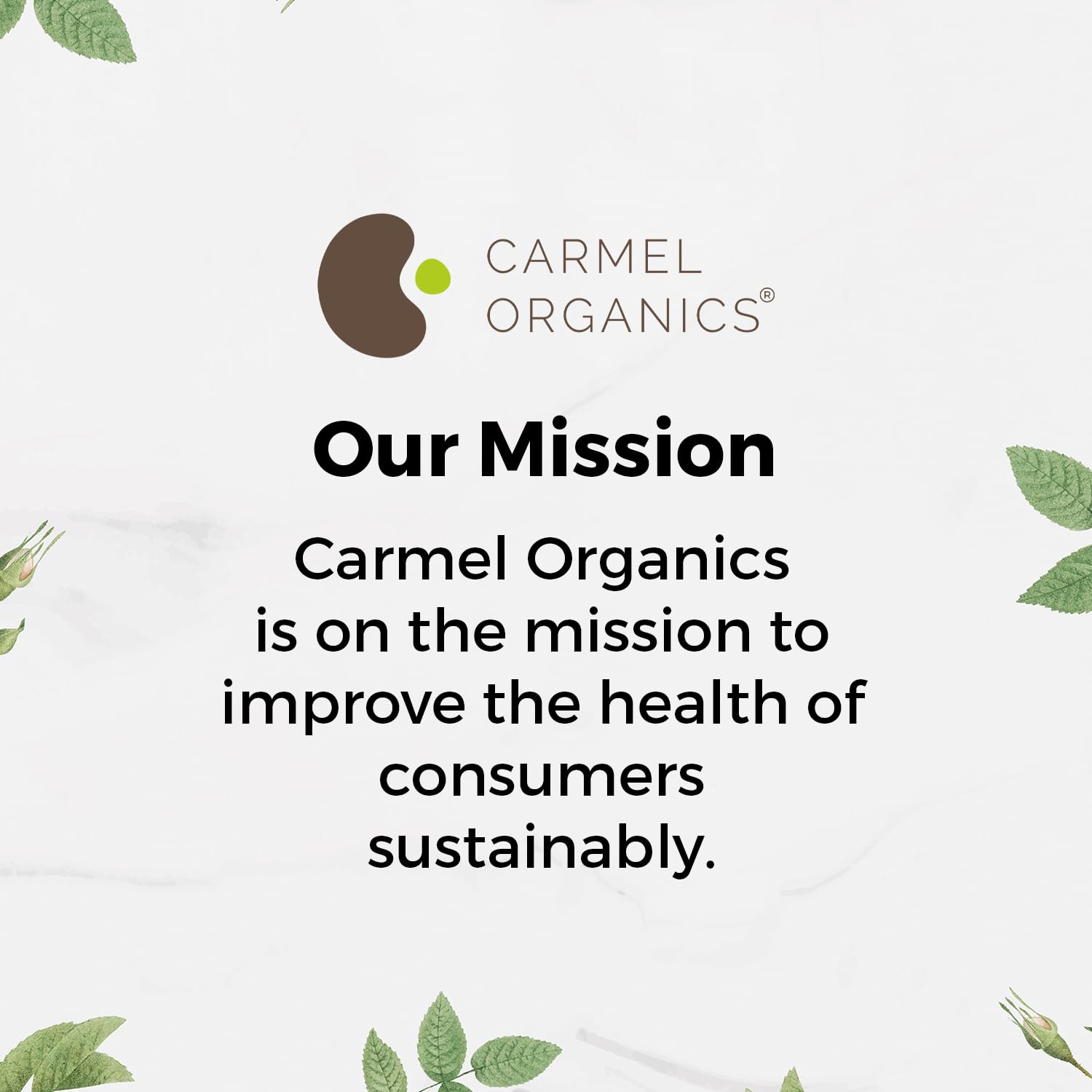 Carmel Organics flax seeds high omega-3 content supports healthy recipes.