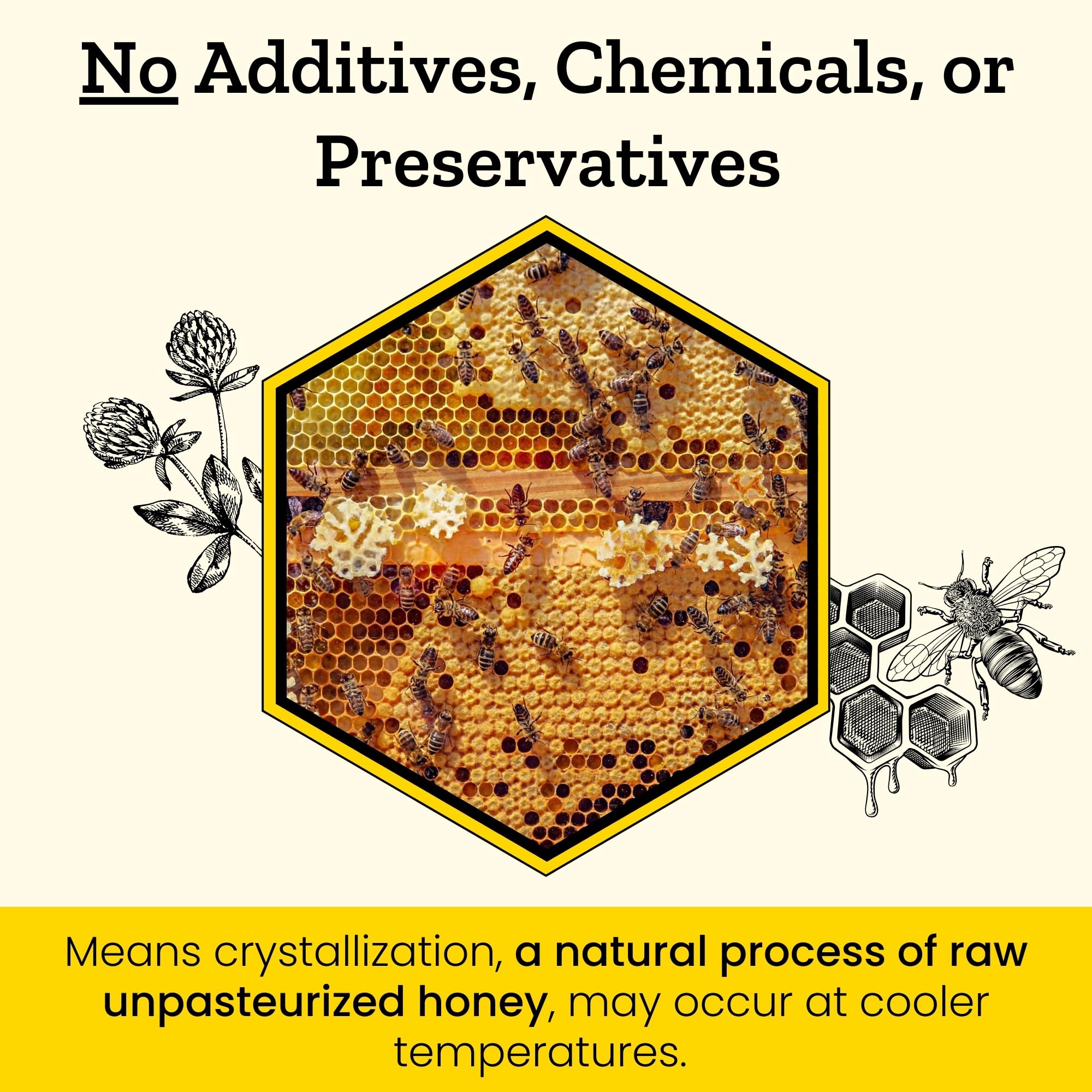 Carpathian Healer Buckwheat Honey amber closeup emphasizes rich notes.